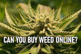 The Right Spot To Buy Weed Online post thumbnail image