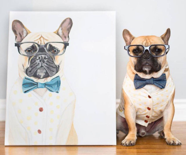 Are Personalized animal portraits worth it? post thumbnail image