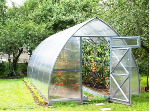 Why You Should Consider Greenhouse Gardening post thumbnail image