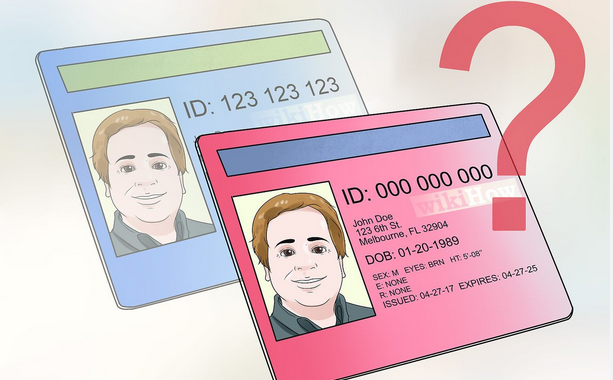 The need for really enormous fake ids for young people post thumbnail image