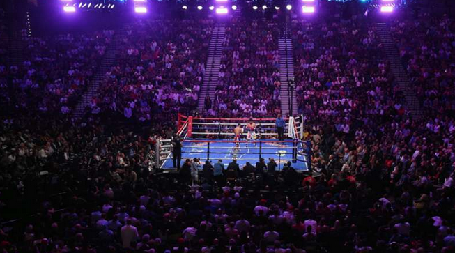 A Night at the Fights: Find Great Streaming Services for Watching Professional Boxing Matches post thumbnail image