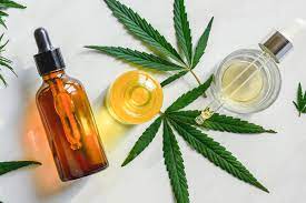 How Exactly Does CBD Oil Affect the Entire body? post thumbnail image