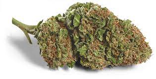 Get Top quality Weed Delivered Easily and quickly in Mississauga post thumbnail image