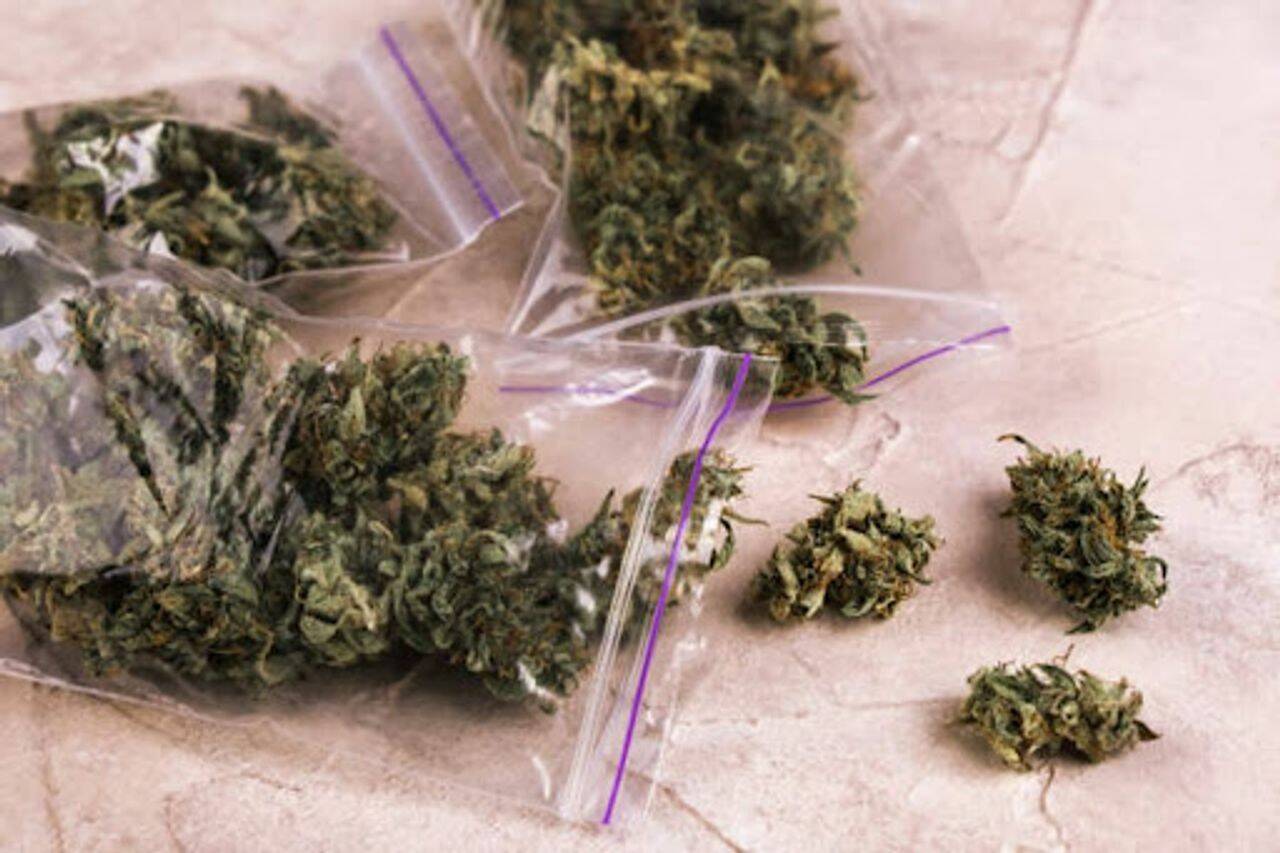 Buy Weed Canada: Exploring the Virtual Cannabis Market post thumbnail image