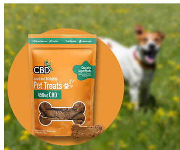 A Guide to CBD Dog Treats for Pet Parents post thumbnail image