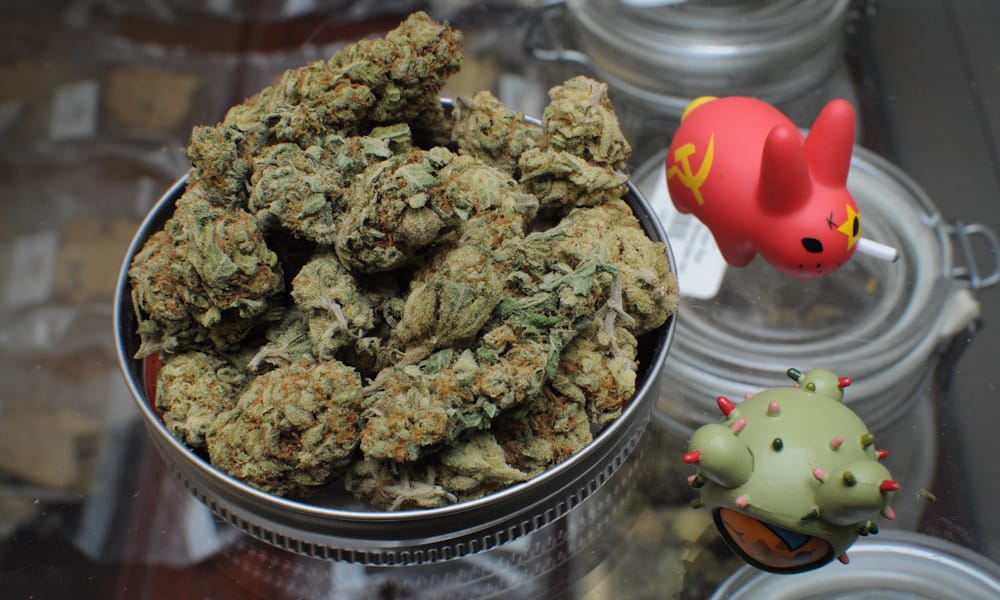 Dispensary Dreams: Trippy Wizard’s Cannabis Wonderland post thumbnail image