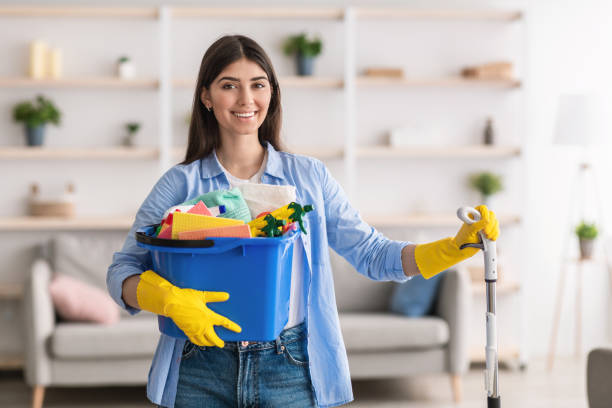 Domestic Housekeeping: Making Your Home Shine post thumbnail image