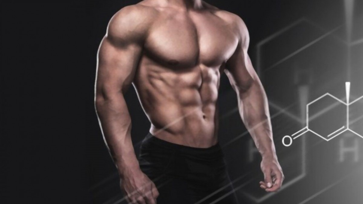 Comprehending the Uses and Ramifications of Tren Steroid in Body building post thumbnail image