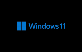 Next-Level Performance: Windows 11 Pro Retail Key Activation Essentials post thumbnail image