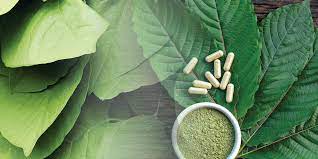 Breaking Down the Train Wreck: A Comprehensive Guide to Kratom Blends post thumbnail image